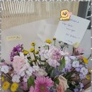 꿈이자라는음악학원