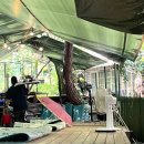 개나리산장 | 차 없이도 갈 수 있는 북한산 계곡 백숙 맛집⎥개나리산장