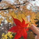 고향풍경 | 국립현대미술관 덕수궁 / 향수, 고향을 그리다 후기