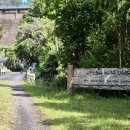 2026년 5월 30일 – Upper Huia Dam Track 이미지