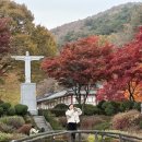 (주)성요셉목수학교 | [공지] 충북 제천 가볼만한 곳 가을 여행 배론성지 11월 첫째주 실시간 단풍 명소