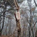 삼승 이미지