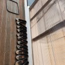 감꽃향흩날리는 이미지