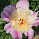 섬진강댐물문화관 화장실 이미지