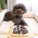 뚱이하우스 이미지