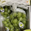 서민갑부 과일가게 라이프룻 샤인머스켓 후기