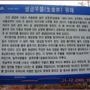 생금우물 이미지
