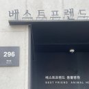 베스트프렌드 동물병원 이미지