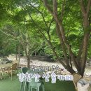 [전북/순창] 산솔 카페｜애견동반 가능, 계곡 뷰가 예쁜 강천산 카페