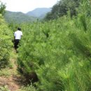 준성농장 이미지