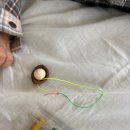 아세안자연휴양림 | 서울 근교 가족여행지 추천 <양주 아세안자연휴양림> 2편. 숲놀이, 체험 후기