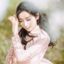 다소다 이미지