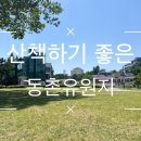 동촌유원지 유기장 이미지