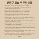 자연스럽고 예쁜 디자인 발산역 자연눈썹 추천 서연브로우 후기