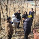 곡성 태안사 금고,도 문화유산, 부여 무량사괘불 국보등재, 한성백제박물관 강당에서 학술대회