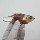 도기머기 이미지