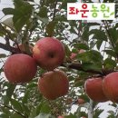 좌운농원
