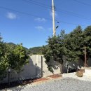 나진별채 이미지