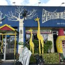 아프리카 앤소울 이미지