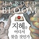 ＜2023 고전-교양 06＞ : 해럴드 블롬의 『지혜를 어디서 찾을 것인가』 이미지