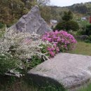 안동농원 이미지