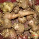 이철 농장 이미지