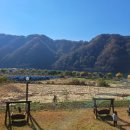 다래하우스펜션 이미지