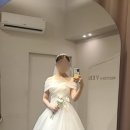 베라비즈 이미지