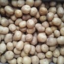 통큰농장 이미지