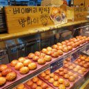 유구중학교 | [공주 유구색동수국정원] 중부권 최대 수국 군락지, 인파 피하는 주차 명당 및 쾌적한 관람 동선