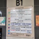 송도 키즈카페 러쉬 트램펄린파크 후기