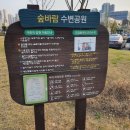 KTX울산역안내소 | 7월 해바라기 명소 가볼만한 국내 여행지 인생샷 건지는 명소 3곳 총정리