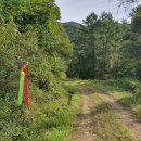 경기둘레길 양평29코스 이미지