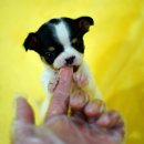 동글동글 이미지