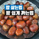 밤 삶는법 / 밤 쉽게 잘 까는법 : 맛도 좋아요
