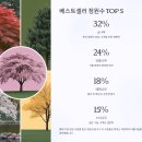 🏡당장 클릭 안 하면 품절! 인기 정원수 모음