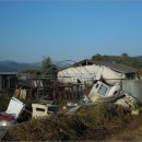 에이스목장 이미지