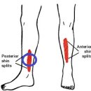 더블유메딕스 이미지