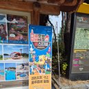 홍주농장 | 홍성 바베큐 축제 방문! 솔찍 후기