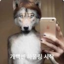 챗지피티야 내 인생도 지브리 스타일로 바꿔줘