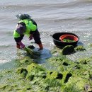 장흥목장 이미지