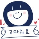 샤브샤브담채
