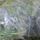 재성농장 이미지