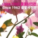 우정이마트 이미지