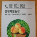 대홍농장 이미지