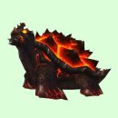 펫토피아(PETOPIA) 이미지