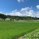 유지마을2농로 이미지