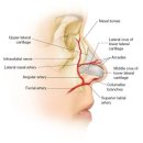 프리티플러스의원 | 코필러잘하는곳 후기 빠져드네
