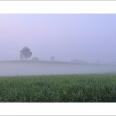 목장의아침 이미지