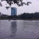 진주 남강에도 이상한게 막 달료달료 ............... 이미지